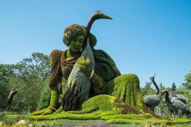 Monumental Plant Sculptures At The 2013 Mosaicultures Internationales De Montreal