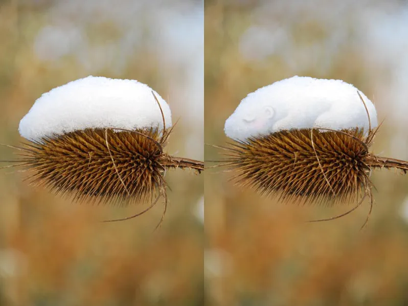 Stop Watch by Tineke Meirink