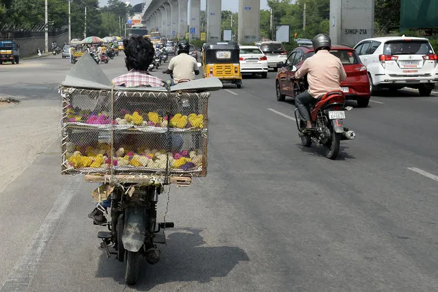 A vendor rides a motorcycle as he carries dyed chicks to sell in Hyderabad on October 28, 2021. (Photo by Noah Seelam/AFP Photo)