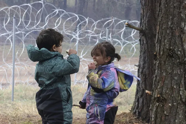 Migrant children eat near the barbed wire fence as migrants gather at the Belarus-Poland border near Grodno, Belarus, Saturday, November 13, 2021. A large number of migrants are in a makeshift camp on the Belarusian side of the border in frigid conditions. Belarusian state news agency Belta reported that Lukashenko on Saturday ordered the military to set up tents at the border where food and other humanitarian aid can be gathered and distributed to the migrants. (Photo by Leonid Shcheglov/BelTA pool photo via AP Photo)