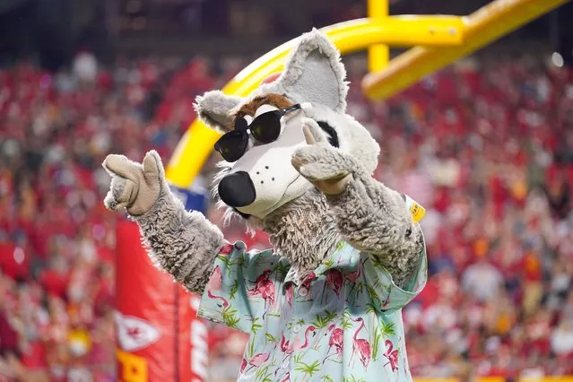 The Kansas City Chiefs mascot KC Wolf entertains fans in the game against the Minnesota Vikings during the second half at GEHA Field at Arrowhead Stadium in Kansas City, Missouri, USA on August 27, 2021. (Photo by Denny Medley/USA TODAY Sports)