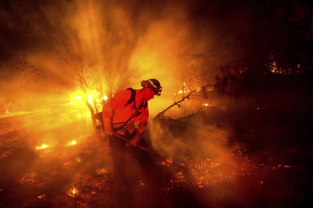 Firefighter Chris Fritz works to keep the Aero Fire from spreading through the Copperopolis community of Calaveras County, Calif., on Monday, June 17, 2024. (Photo by Noah Berger/AP Photo)