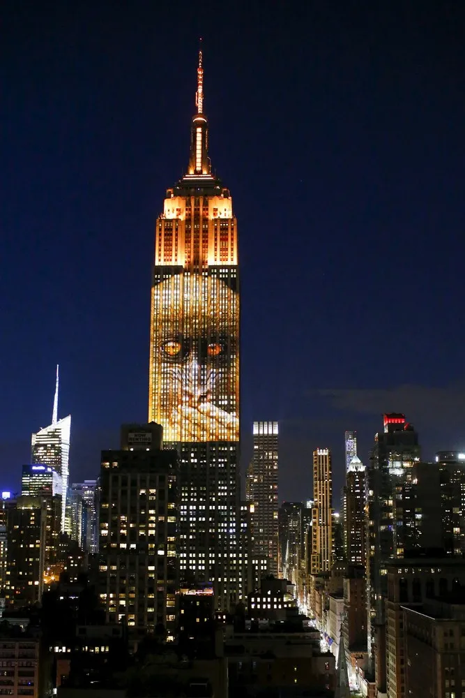 Endangered Animals on Empire State Building