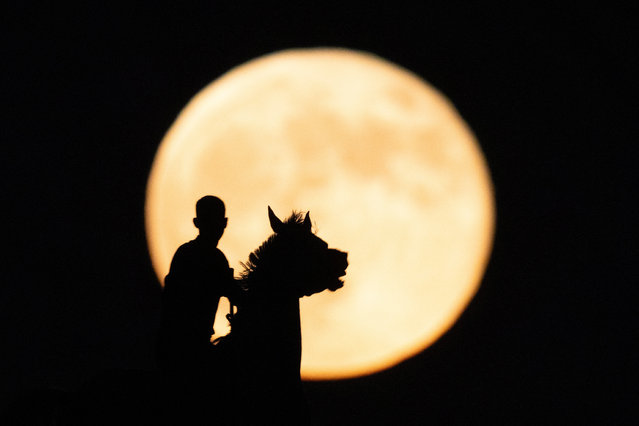 A Bedouin rides a horse as a Harvest Supermoon is pictured in the background, in Rahat, southern Israel, on September 18, 2024. (Photo by Amir Cohen/Reuters)