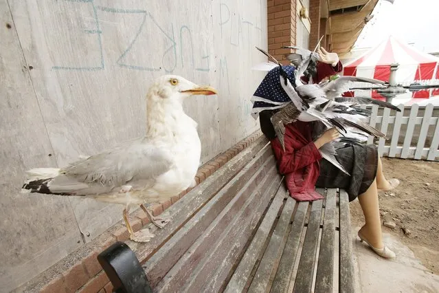 Banksy's Dismaland In England