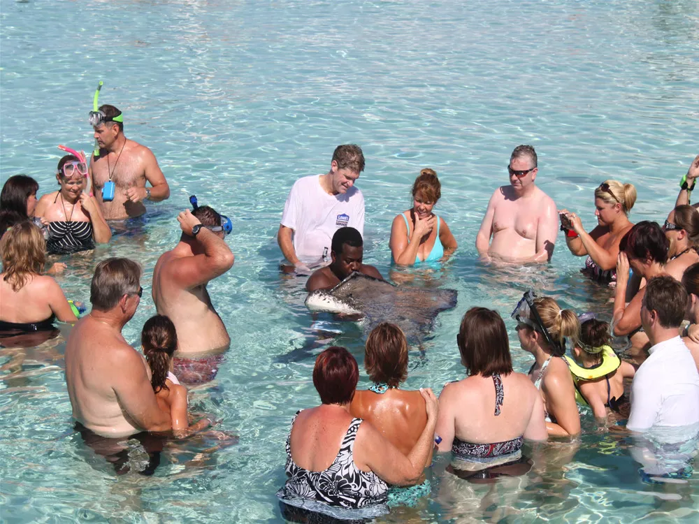 Stingray City, Grand Cayman