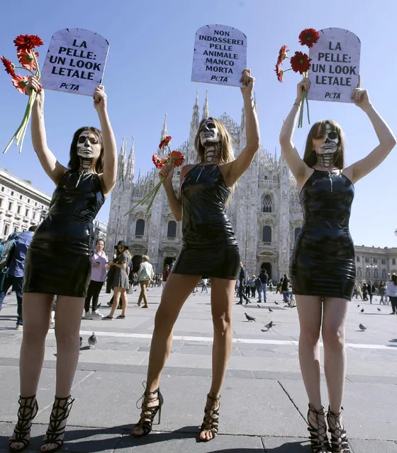 Animal rights activists, including musician Kris Reichert, center, hold up signs with writing in Italian reading; “Leather: a lethal look” and “I wouldn't wear animal skin even if I were dead” as they stage a demonstration in front of Milan's Duomo gothic cathedral, Italy, Wednesday, September 20, 2017. (Photo by Luca Bruno/AP Photo)