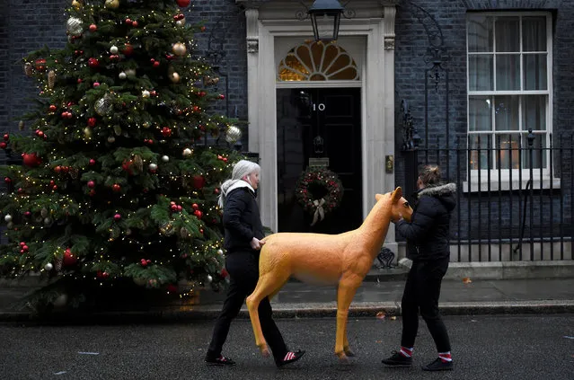 Two young women carry a model reindeer past 10 Downing Street in London, Britain December 11, 2017. (Photo by Toby Melville/Reuters)