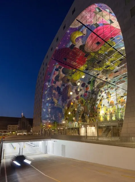 New Icon Of Rotterdam - Markthal Rotterdam