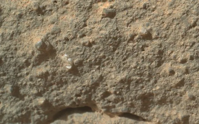 Scientists say that a “Martian flower”, seen here in an image from the Curiosity rover's Mars Hand Lens Imager, is a 2-millimeter-wide grain or pebble that's embedded in the surrounding rock. Another, darker-colored mineral grain can be seen above and to the left. (Photo by NASA)