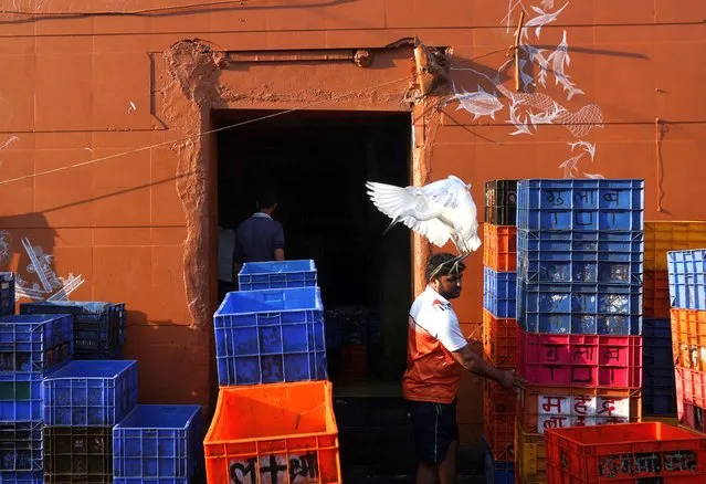 A crane flies past a man unloading containers that hold fish, at a fish market in Mumbai, India on December 28, 2022. (Photo by Francis Mascarenhas/Reuters)