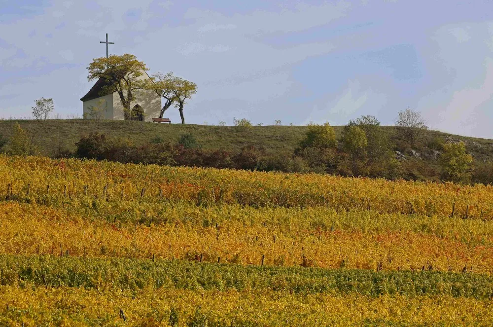 Autumn Colours in France