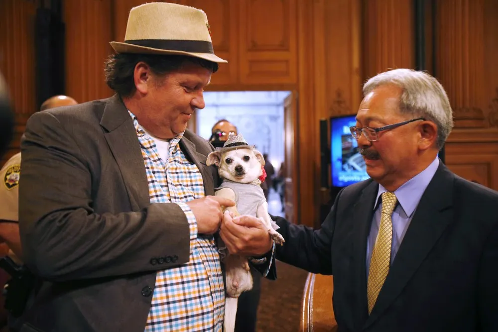 Dog Has its Day as Mayor of San Francisco