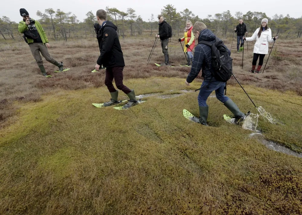 Tour of the Great Kemeri Bog in Latvia