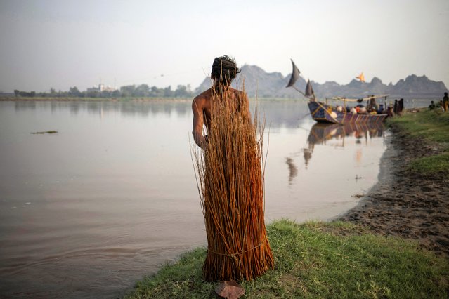 Javed Iqbal, a 27-year-old Saraiki man, retrieves mulberry branches soaking along the banks of the Chenab River to be woven into baskets, in Chiniot, Pakistan on June 17, 2025. (Photo by Adrees Latif/Reuters)