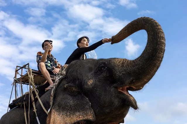 A Japanese tourist rides on an elephant in a jungle park on the eve of Lunar New Year in Phuket, Thailand on January 21, 2023. (Photo by Jorge Silva/Reuters)