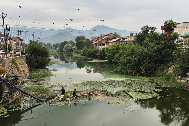 Birds fly overhead as men fish in a polluted canal in Srinagar, Indian-controlled Kashmir, August 14, 2025. (Photo by Mukhtar Khan/AP Photo)