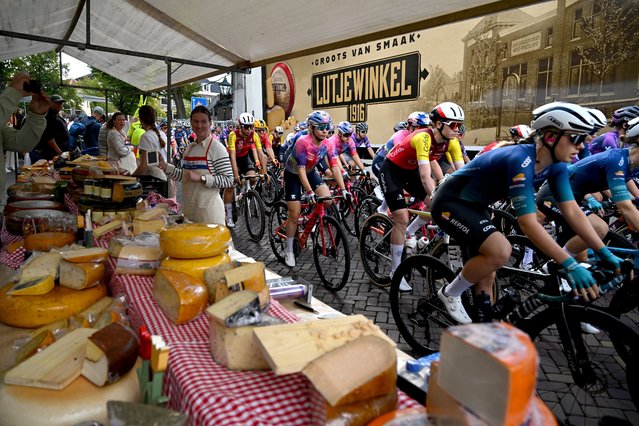 Martina Alzini of Italy and Team Cofidis Women and a general view of the peloton passing in front of a cheese stand prior to the 27th Simac Ladies Tour 2025, Stage 4 a 125.8km stage from Alkmaar to Alkmaar / #UCIWWT / on September 05, 2025 in Alkmaar, Netherlands. (Photo by Luc Claessen/Getty Images)