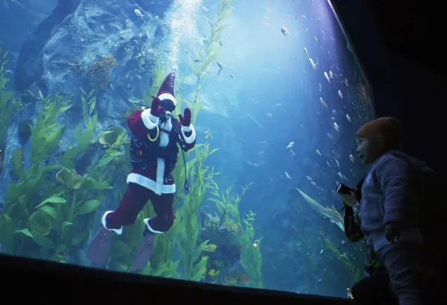 A child looks at a diver dressed in a Santa Claus costume during an event celebrating the upcoming Christmas holiday at Lotte World Aquarium in Seoul December 8, 2014. (Photo by Kim Hong-Ji/Reuters)