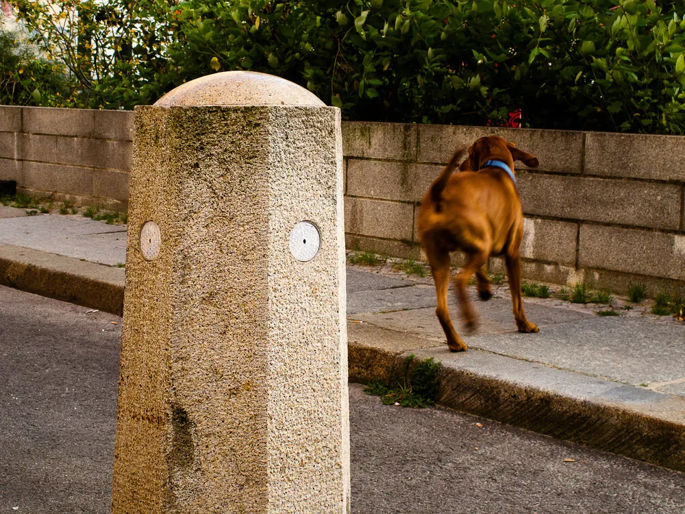 “Faces in Places”