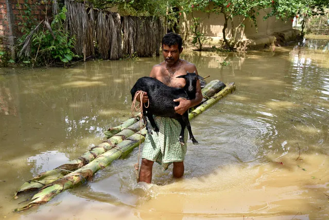 A man carries his goat as he wades through a flooded area at a village in Nagaon district, in the northeastern state of Assam, India, June 19, 2018. (Photo by Anuwar Hazarika/Reuters)
