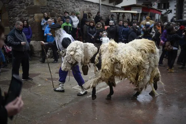 A man leads a horse dressed as a sheep during carnival celebrations in Zubieta January 27, 2015. (Photo by Vincent West/Reuters)