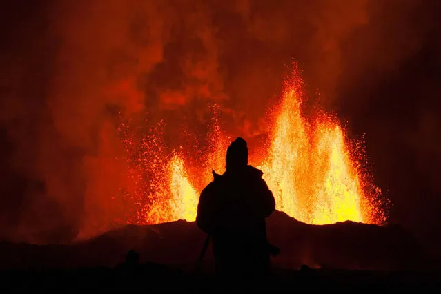 A brave photographer managed to get within metres of an active volcano despite it spewing out lava waves over 140 metres high. Silhouetted against a fiery fountain of red, Icelandic photographer, Tómas Freyr Kristjánsson, 37, braved blistering temperatures to get as close the volcano as possible. (Photo by Tómas Freyr Kristjánsson/Caters News)