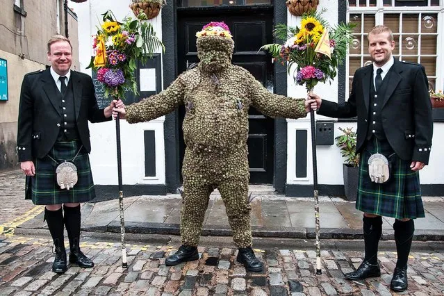 Andrew Taylor, the Burryman, parades around the streets of South Queensferry, Scotland on August 10, 2018, following a tradition dating from the 1600s. Sewn into a suit covered with burrs, the Burryman walks through the town from early morning until evening, drinking whisky en route. (Photo by Tina Norris/Rex Features/Shutterstock)