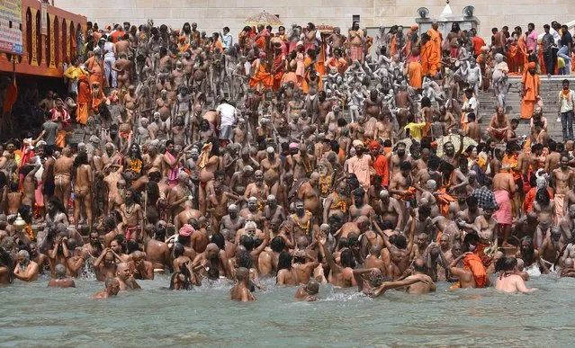 Indian holy men or Naga Sadhu along with the other pilgrims take the holy dip in Ganga river during the Kumbh Mela royal bath (Sacred Hindu Pilgrimage) at Haridwar, Uttarakhand, India, 12 April 2021. Thousands of pilgrims are gathering and taking holy dip in Kumbh Mela that is a mass Hindu pilgrimage which occurs after every twelve years and rotates among four locations Prayag (Allahabad) at the confluence of the Ganga and Yamuna and mythical Saraswati river, Haridwar along the Ganga river, Ujjain along the Kshipra river and Nashik along the Godavari river. (Photo by Idrees Mohammed/EPA/EFE)