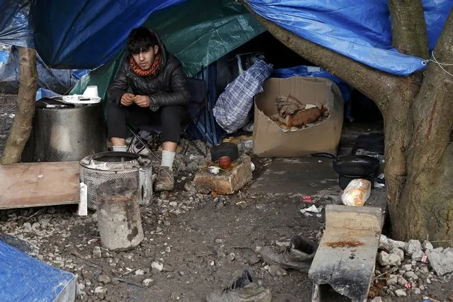 A migrant sits under his tent as he shelters in a muddy field called the Grande-Synthe jungle, near Dunkirk, northern France, January 12, 2016. (Photo by Benoit Tessier/Reuters)