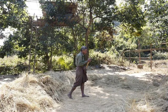 A man works in front of his tree house, which acts as a shelter from wild elephants, in Gwe Cho village, Shwe Taung Yan township Ayeyarwady division January 18, 2016. (Photo by Soe Zeya Tun/Reuters)