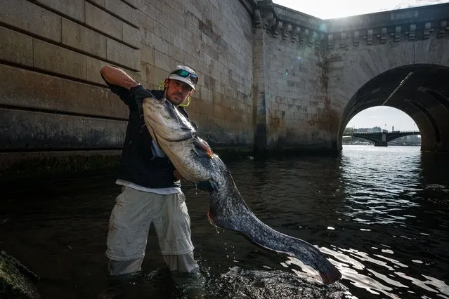 French fisherman Bill Francois shows a big fish he fished in the river Seine near the Pont de la Tournelle bridge in Paris on September 25, 2023. (Photo by Dimitar Dilkoff/AFP Photo)