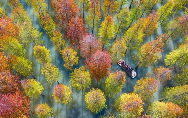 Aerial view of the autumn scenery of Hongze Lake Wetland Scenic Area on October 20, 2023 in Suqian, Jiangsu Province of China. (Photo by VCG/VCG via Getty Images)
