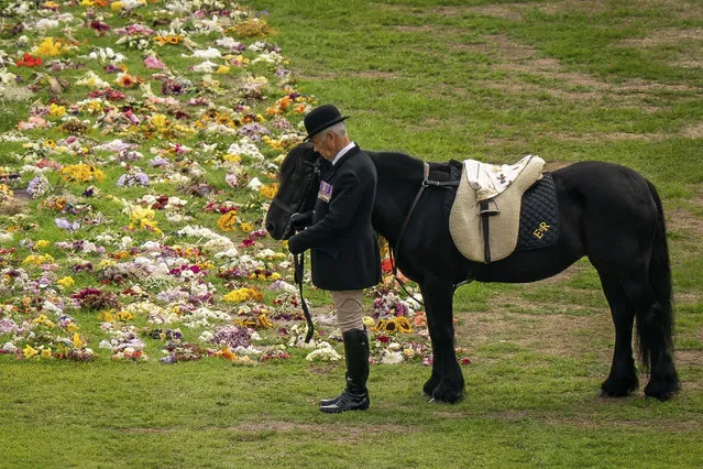 Emma, the monarch's fell pony, stands as the Ceremonial Procession of the coffin of Queen Elizabeth II arrives at Windsor Castle for the Committal Service at St George's Chapel, England, Monday, September 19, 2022. (Photo by Aaron Chown/Pool photo via AP Photo)