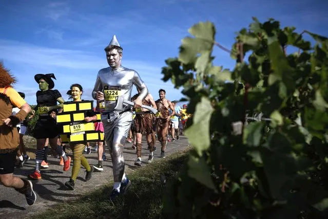 Participants wearing costumes inspired by cinema pop-culture take part in the Medoc marathon near Pauillac, southwestern France on September 10, 2022. Returning after a two-year hiatus due to the Covid-19 pandemic, the 36th edition of the 42,195km-long race is taking place across vinyards of the Medoc region. The event is interspersed with animations scattered along the course, which include local wine-tasting, and sampling delicacies such as oysters and “entrecote” steak. (Photo by Philippe Lopez/AFP Photo)