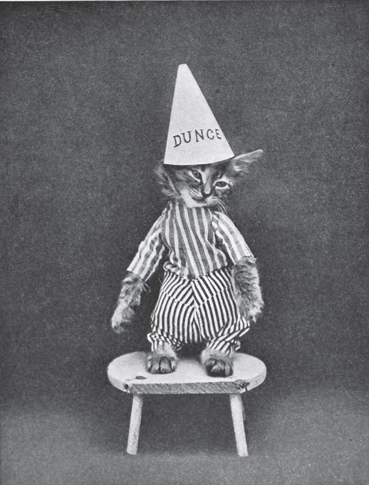 The Extraordinary World of Harry Whittier Frees (UPDATED)