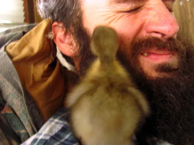 How This Man’s Saved A Duckling