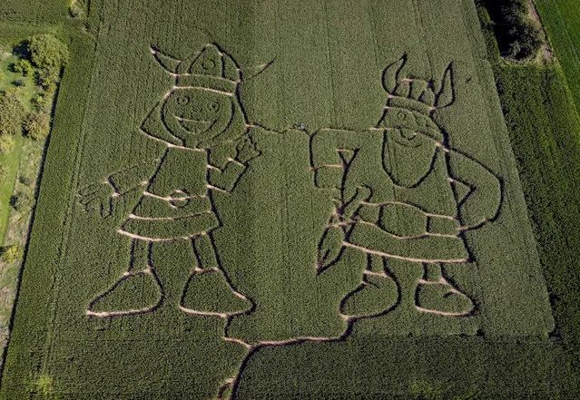 Vicky the Viking, left, and his father Halvar are cut in a cornfield labyrinth in the outskirts of Frankfurt, Germany, Monday, September 6, 2021. Vicky and Halvar are based on the novel Vicke Viking (1963) written by the Swedish author Runer Jonsson. (Photo by Michael Probst/AP Photo)