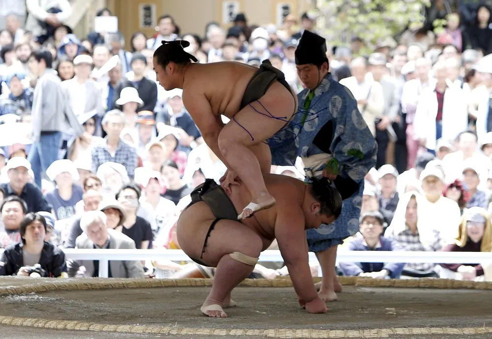 Sumo Tournament in Tokyo