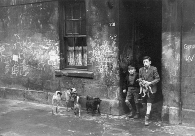 Two boys with their dogs in the Gorbals, a slum area of Glasgow with unkempt streets and graffiti covered walls, 1948. (Photo by Bert Hardy/Picture Post/Getty Images)