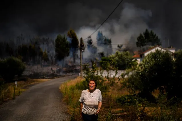 A villager shouts for help as a wildfire approaches a house at Casas da Ribeira village in Macao, central Portugal on July 21, 2019. Planes and helicopters joined nearly 2,000 firefighters in central Portugal on July 21, 2019 to battle huge wildfires in a mountainous region where more than 100 people died in huge blazes in 2017. Around 20 people have been injured in the blaze, including eight firefighters and 12 civilians, according to the interior ministry. (Photo by Patricia De Melo Moreira/AFP Photo)
