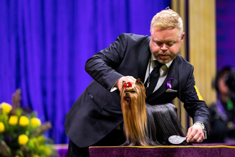 USA last Week, Part 2/2