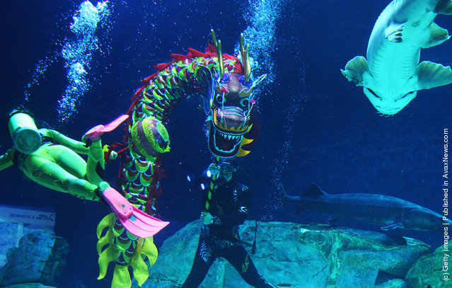 People dressed as a Chinese Dragon, swim in water at the Beijing Aquarium