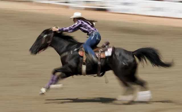Britany Diaz of Solen, North Dakota, U.S. races on her horse in the Barrel Racing event during the Calgary Stampede rodeo in Calgary, Alberta, Canada July 10, 2015. (Photo by Todd Korol/Reuters)