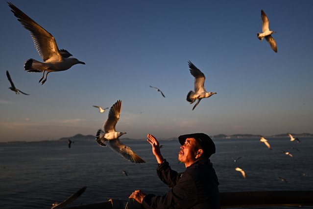 A man feeds seagulls during the sunset in Dalian, in China's northeastern Liaoning province on June 25, 2024. (Photo by Pedro Pardo/AFP Photo)