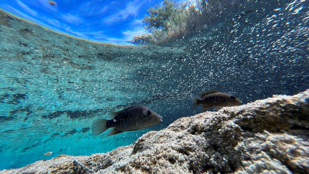 Some Photos: Waterworld