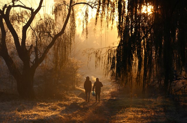 Men walk between trees in morning frost as the temperatures drop in the south of Johannesburg, South Africa on June 12, 2024. (Photo by Siphiwe Sibeko/Reuters)