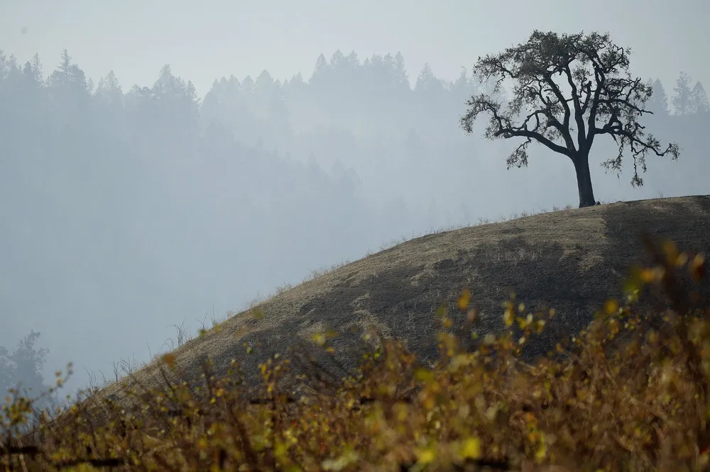 A Look at Life in USA