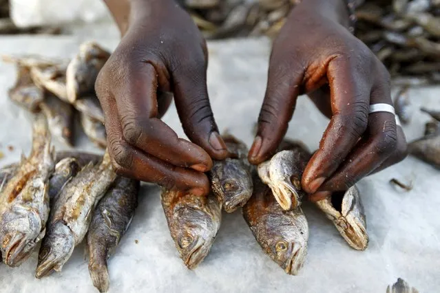 Patricia Anyango arranges fish at her stall within the trading centre of the village of Kogelo, west of Kenya's capital Nairobi, July 14, 2015. (Photo by Thomas Mukoya/Reuters)