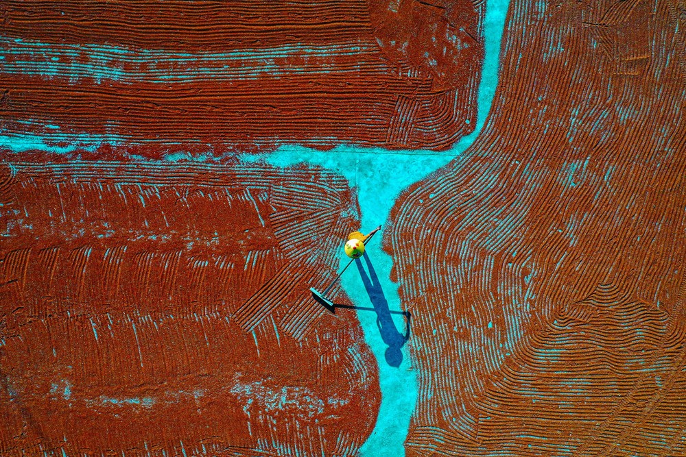 A Look at Life in China